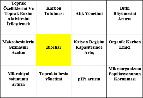 Biochar Görseli