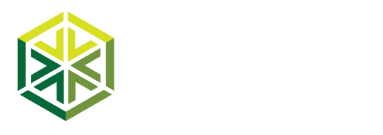 V-Pyro